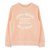 Sudadera coral zadig&voltaire