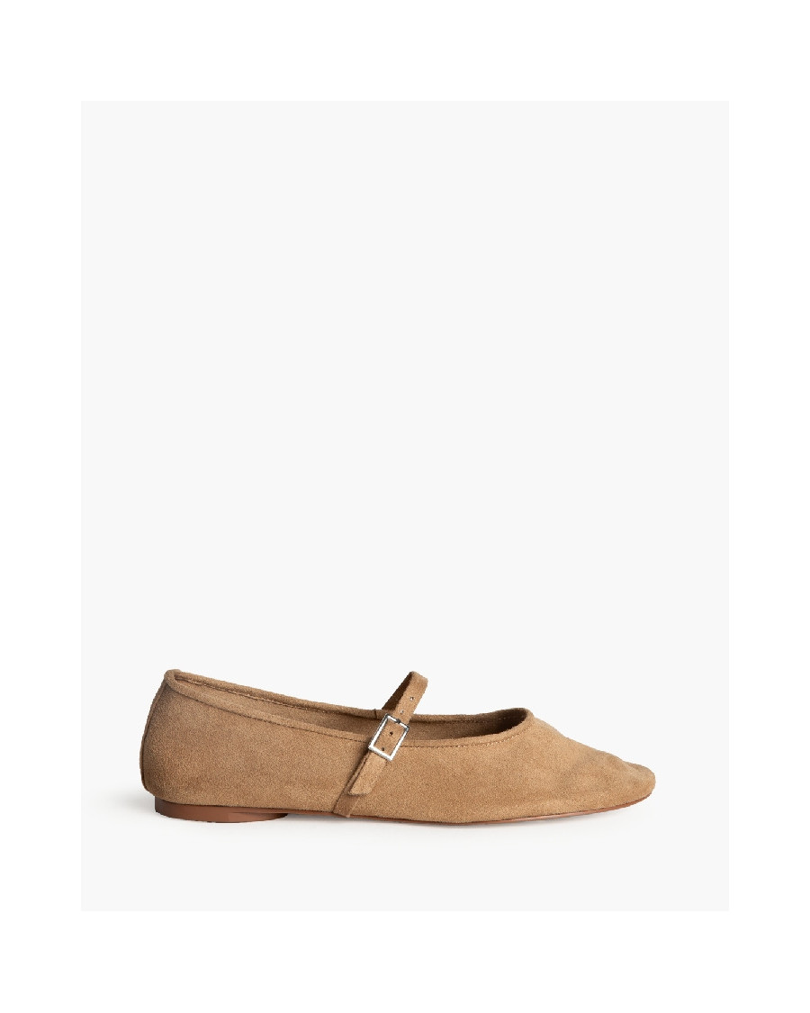 Bailarina camel