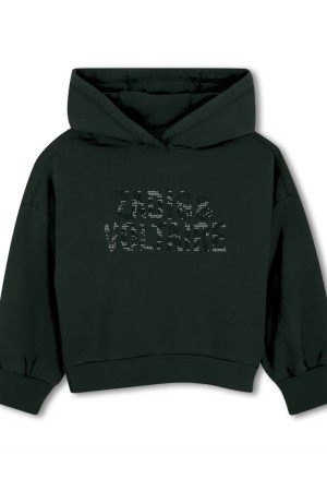 Sudadera gris brillantes Zadig&Voltaire
